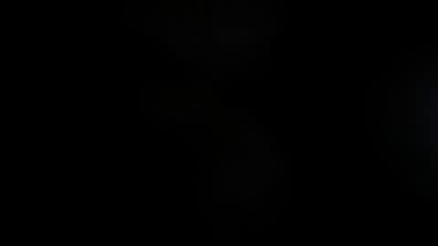 Lisa  online show from November 2025 11:54:01 AM