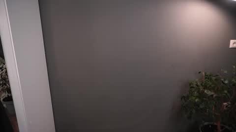 Elisabeth or Lisa online show from November 2025 08:21:02 PM