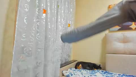 Lisasimsxs online show from August 2026 03:50:02 AM