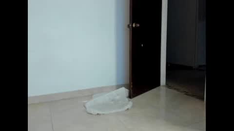 Danni online show from December 2024 01:40:01 AM