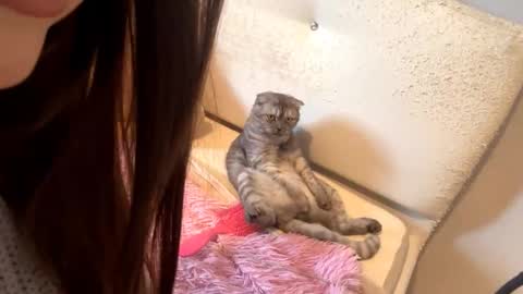 Snapshot of little_anioneta chatting on October 2025 02:09:01 AM Catherine online show from October 2025 02:09:01 AM