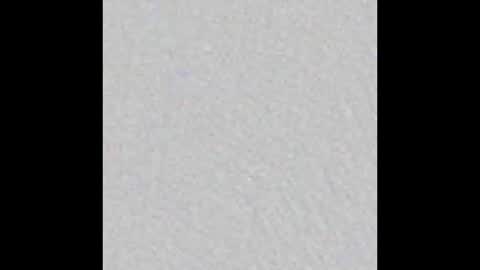 Adaline online show from February 2026 05:26:01 AM