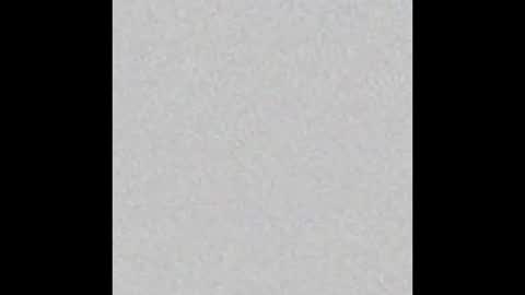 Adaline online show from March 2026 05:41:01 AM