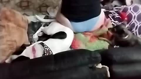 Snapshot of littlebigsquirt7945 chatting on September 2025 02:24:02 AM Sady Jayne online show from September 2025 02:24:02 AM