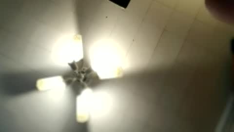 littlelonelylenny online show from March 2026 09:17:01 AM