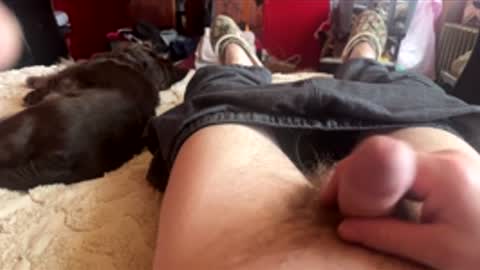 Snapshot of littletj324312 chatting on February 2026 05:33:01 PM Little Tj online show from February 2026 05:33:01 PM