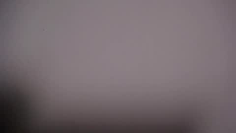 Snapshot of littleviki_ chatting on October 2025 07:50:02 AM Viki online show from October 2025 07:50:02 AM