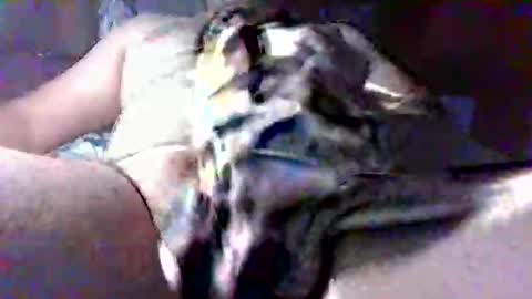 Snapshot of litwinpaweel chatting on October 2025 08:22:02 PM litwinpaweel online show from October 2025 08:22:02 PM