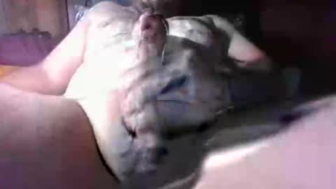 Snapshot of litwinpaweel chatting on December 2025 08:26:01 PM litwinpaweel online show from December 2025 08:26:01 PM