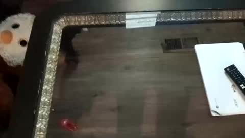 LjCherry online show from November 2025 07:21:01 AM