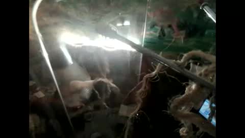 lkonig504475 online show from May 2026 08:39:02 PM
