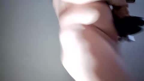 lllortx online show from February 2026 04:24:02 PM