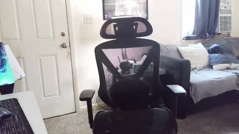 Snapshot of lngdickdaddy chatting on January 2026 06:22:02 PM LongDick Daddy online show from January 2026 06:22:02 PM