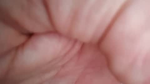 Lo82 online show from July 2026 11:17:02 AM
