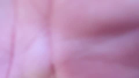 logan online show from April 2026 12:12:01 PM