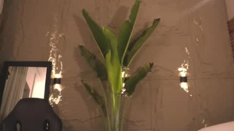 logan_varela online show from March 2025 09:18:02 AM