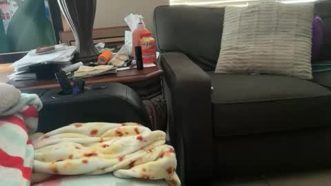 logical12345 online show from November 2025 10:14:02 PM