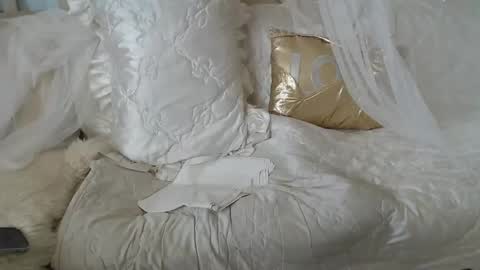 Lilu online show from May 2026 07:02:02 AM