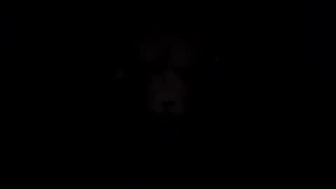 lokatmydick online show from July 2026 10:07:01 AM