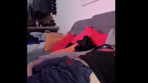 Loki online show from July 2026 04:49:02 AM