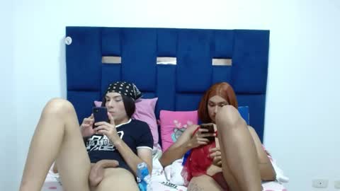 lolabloomx online show from May 2026 04:07:01 AM