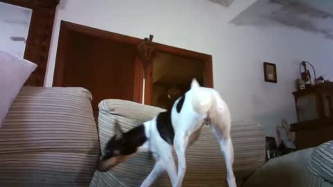 Snapshot of lolahueso chatting on January 2026 09:58:02 AM LOLA HUESO y ERIC online show from January 2026 09:58:02 AM