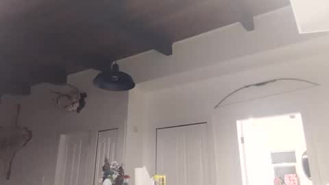 Lola Lixx online show from November 2025 02:10:02 PM