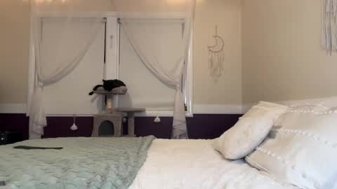 Lola 3 online show from December 2024 03:28:02 AM