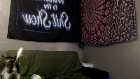 londonray online show from June 2026 11:40:01 PM