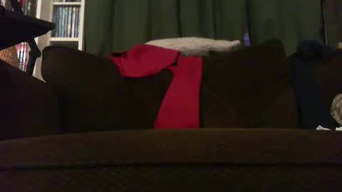 Snapshot of longlorne chatting on November 2025 04:28:02 AM longlorne online show from November 2025 04:28:02 AM