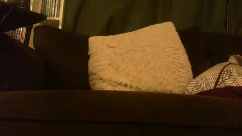 Snapshot of longlorne chatting on February 2026 05:13:02 AM longlorne online show from February 2026 05:13:02 AM