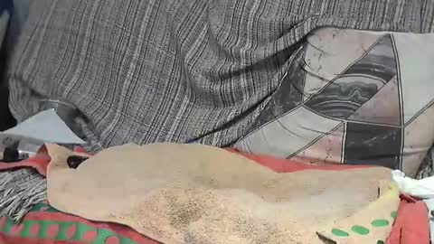 Alejandro Rulitos Twitter longnight55 Intagram 5longnight5 online show from February 2025 05:33:01 AM