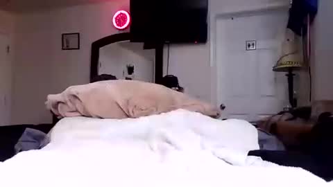 Snapshot of lookatmecum4you chatting on October 2025 08:28:01 AM lookatmecum4you online show from October 2025 08:28:01 AM