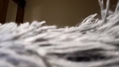 Lora online show from January 2025 08:05:02 PM