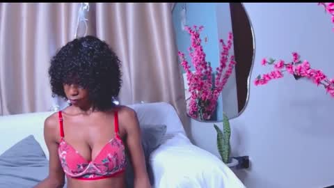 Blackcat online show from January 2026 07:22:01 AM