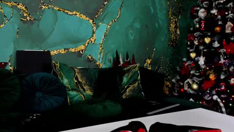 Snapshot of lorawarnner chatting on December 2024 05:21:02 PM Miss online show from December 2024 05:21:02 PM