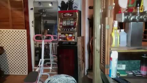 Snapshot of lorikane chatting on January 2026 06:27:02 AM Lorelai Kane online show from January 2026 06:27:02 AM