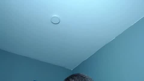 lothbrok online show from July 2026 11:26:02 PM