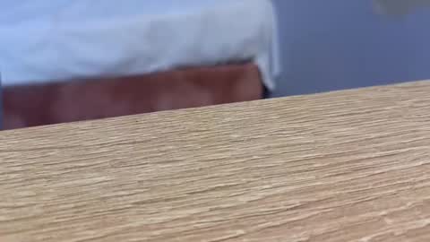  Lou Rosse  online show from January 2025 08:49:01 PM