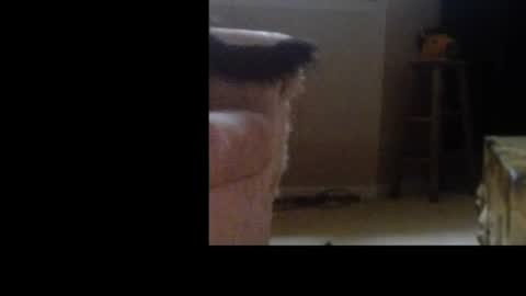 Snapshot of love69bush chatting on February 2026 06:30:02 AM love69bush online show from February 2026 06:30:02 AM