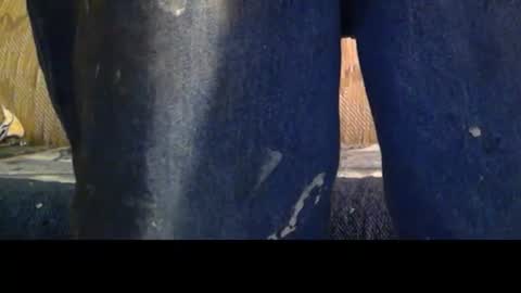 Snapshot of love69bush chatting on February 2026 04:16:01 AM love69bush online show from February 2026 04:16:01 AM