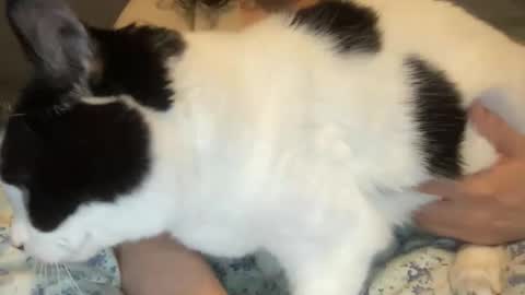 Snapshot of loveablekate chatting on March 2026 12:40:01 PM Kate online show from March 2026 12:40:01 PM