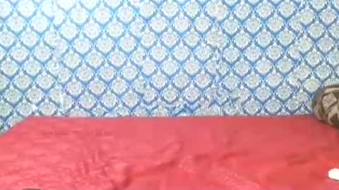 Divya online show from July 2026 12:35:01 AM