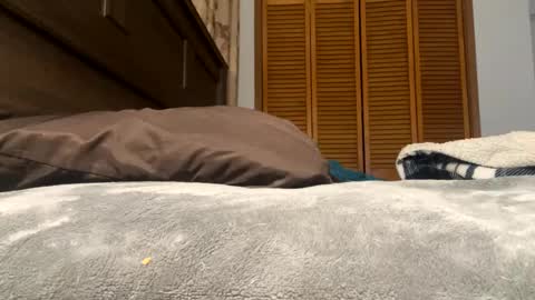 Amber online show from February 2025 01:27:01 PM