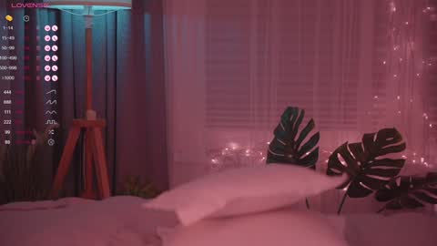 Nelly online show from December 2024 08:50:01 PM