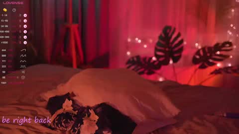 Nelly online show from February 2025 08:36:01 PM