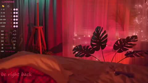 Nelly online show from February 2025 05:20:02 PM