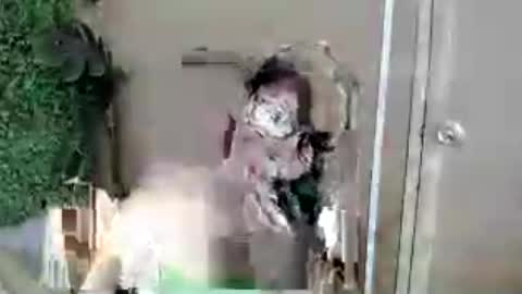 kimmy online show from July 2026 07:33:01 AM