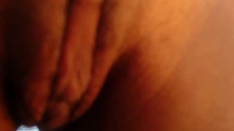   online show from November 2025 02:28:01 PM