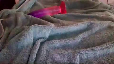 Lovelydadbod online show from February 2026 05:56:01 PM